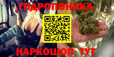не бодяженный Гусиноозёрск