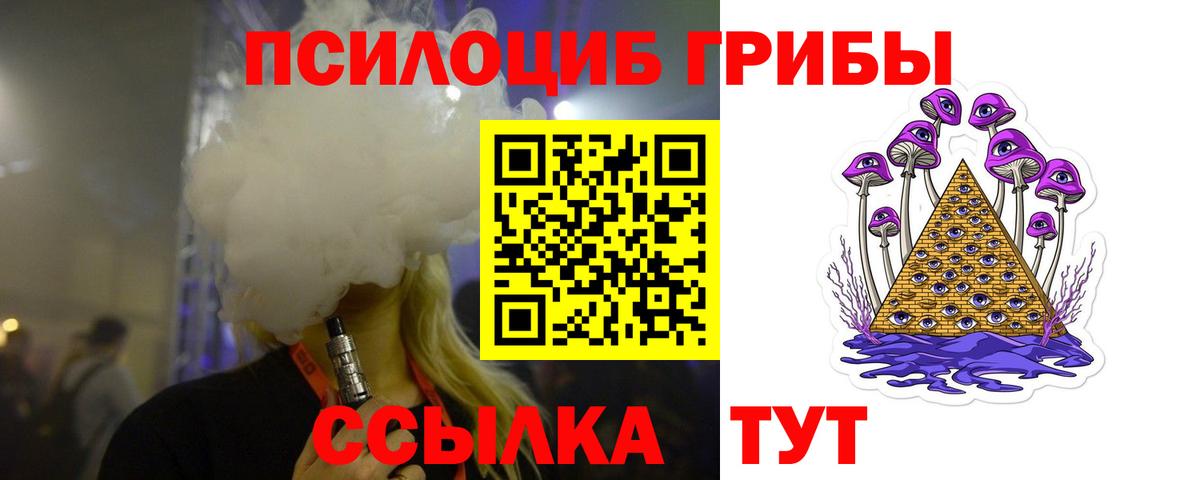 где купить   Галлюциногенные грибы Magic Shrooms  Вход с VPN  Куйбышев 